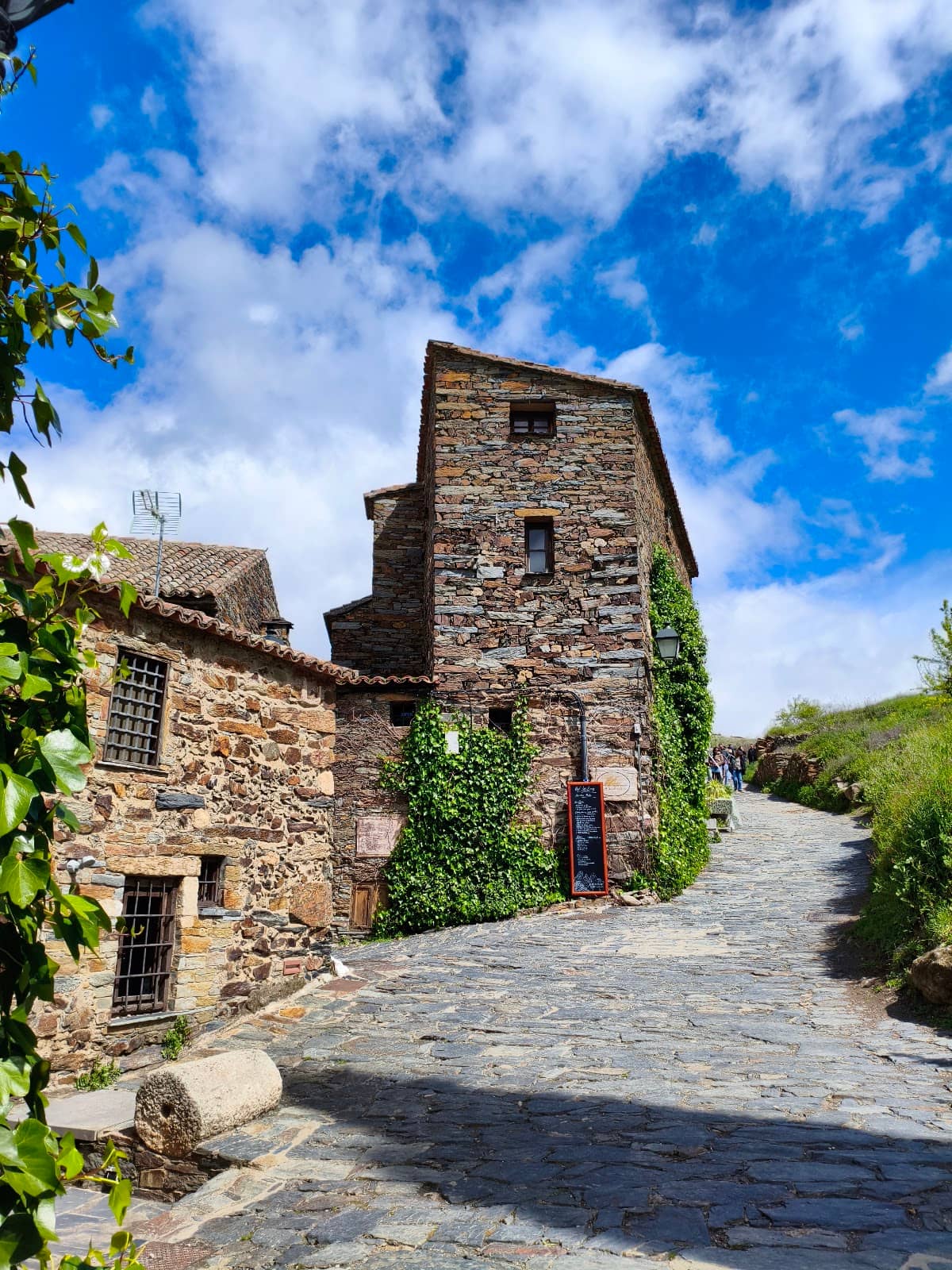 Scenic Walking Trails