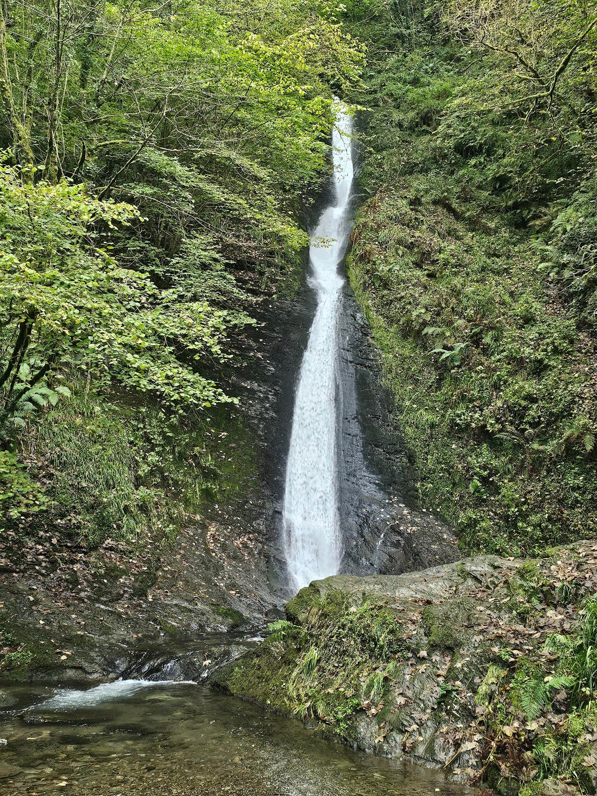Lydford Gorge - Image 1