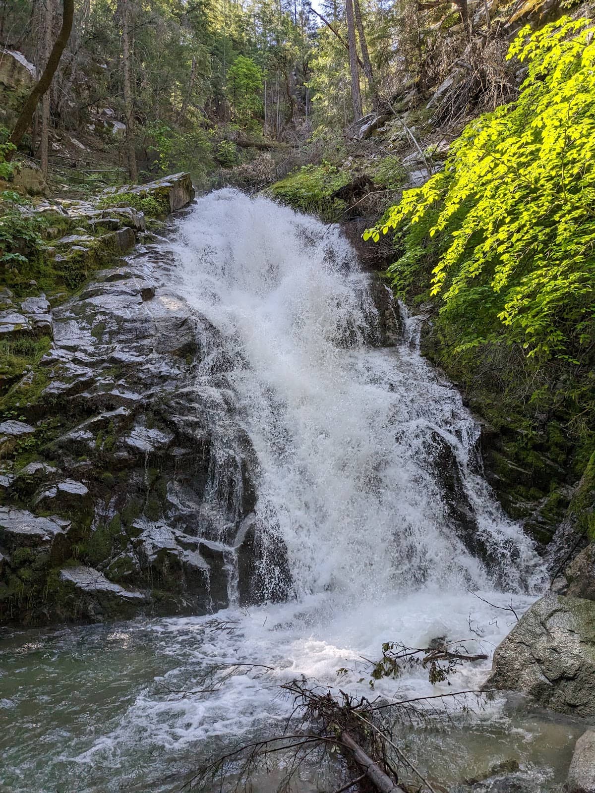 Vertical photo