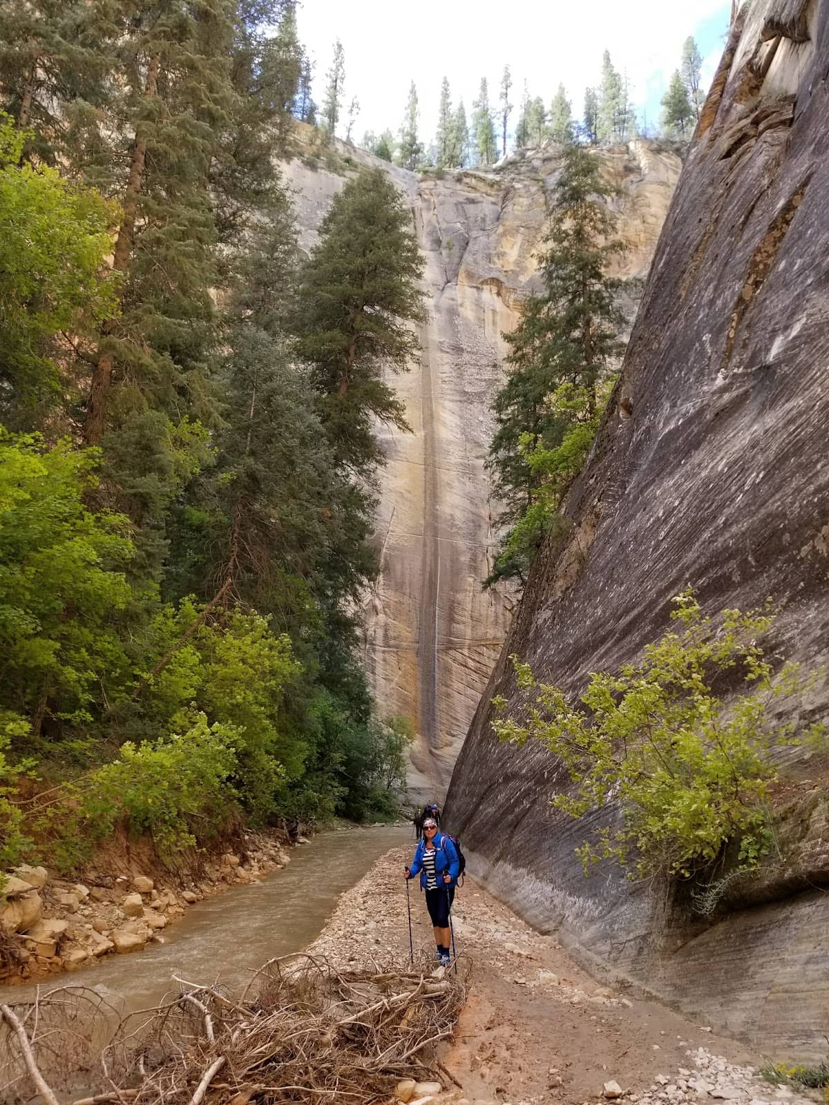 Vertical photo