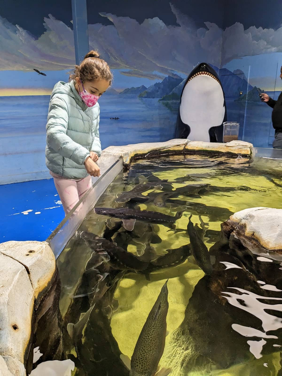 Fish Spa Pedicure