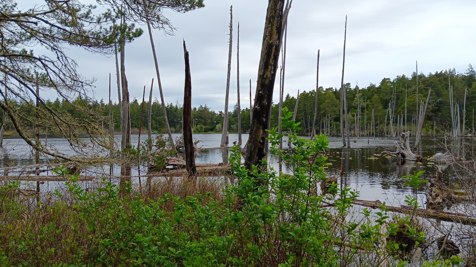 John Topits Park (Empire Lakes) - Image 1