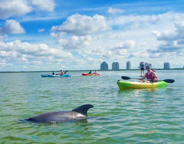 Imperial River Paddle Trail - Image 1
