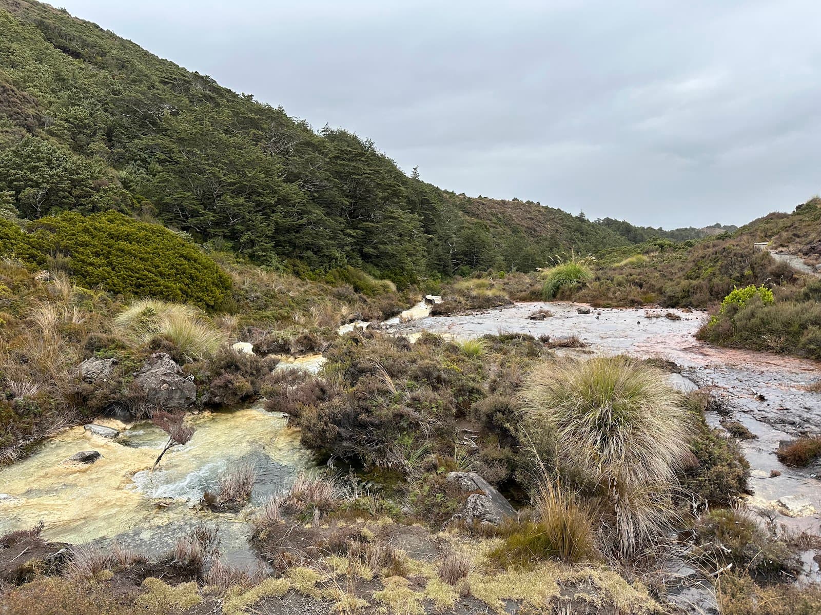 Silica Rapids Track Tongariro National Park - Image 1