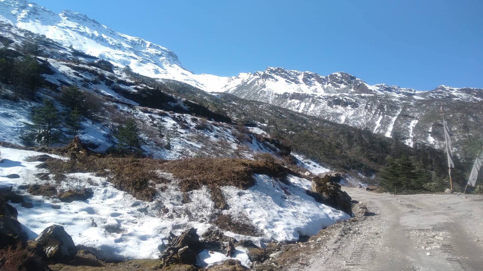 Lachung Village Charm