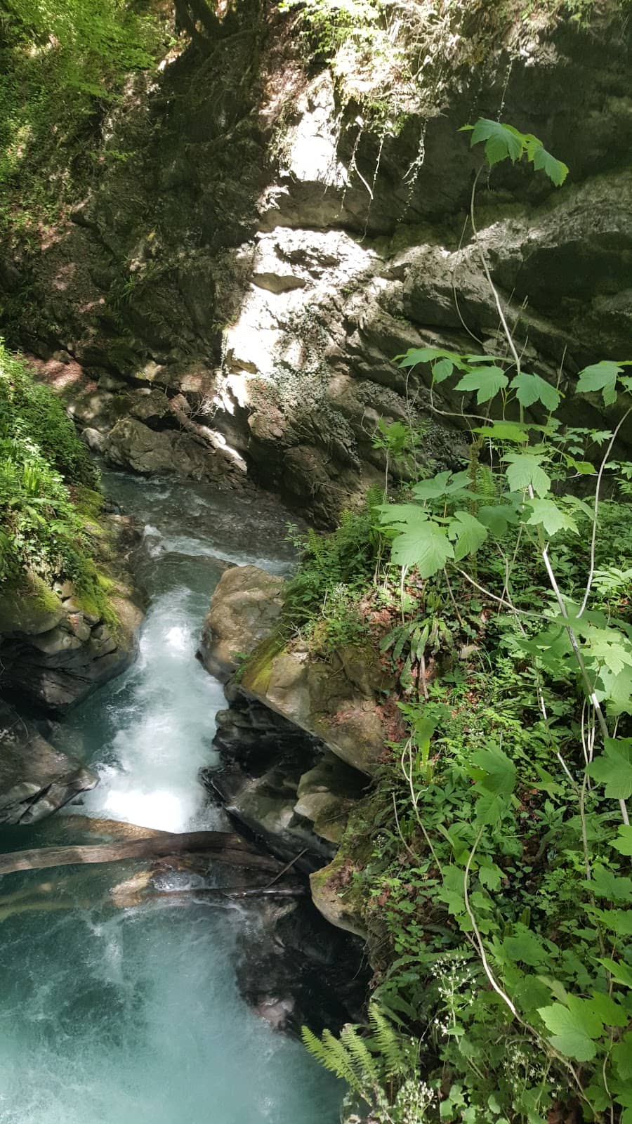 Vertical photo