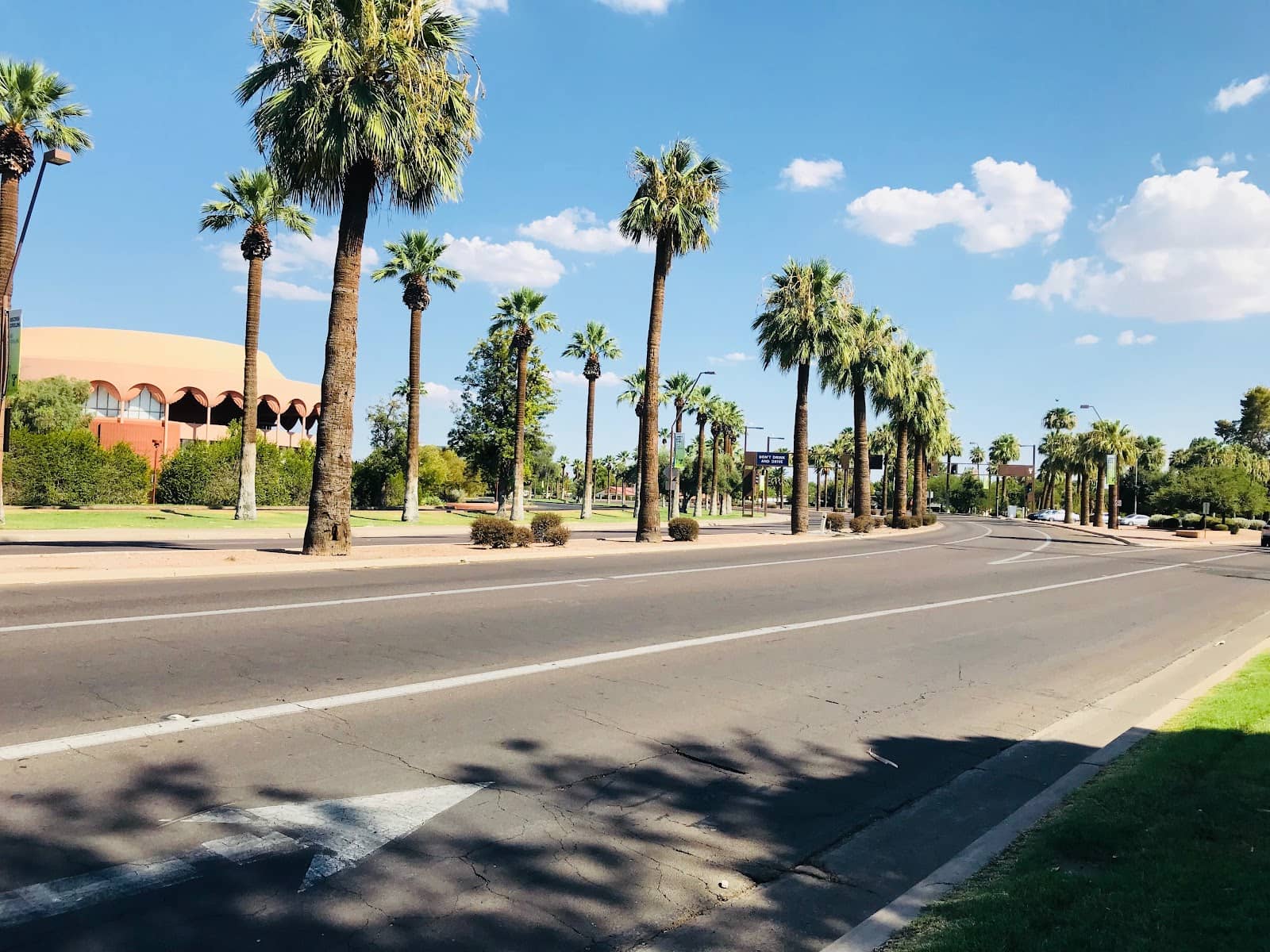 Maple Ash Neighborhood Charm