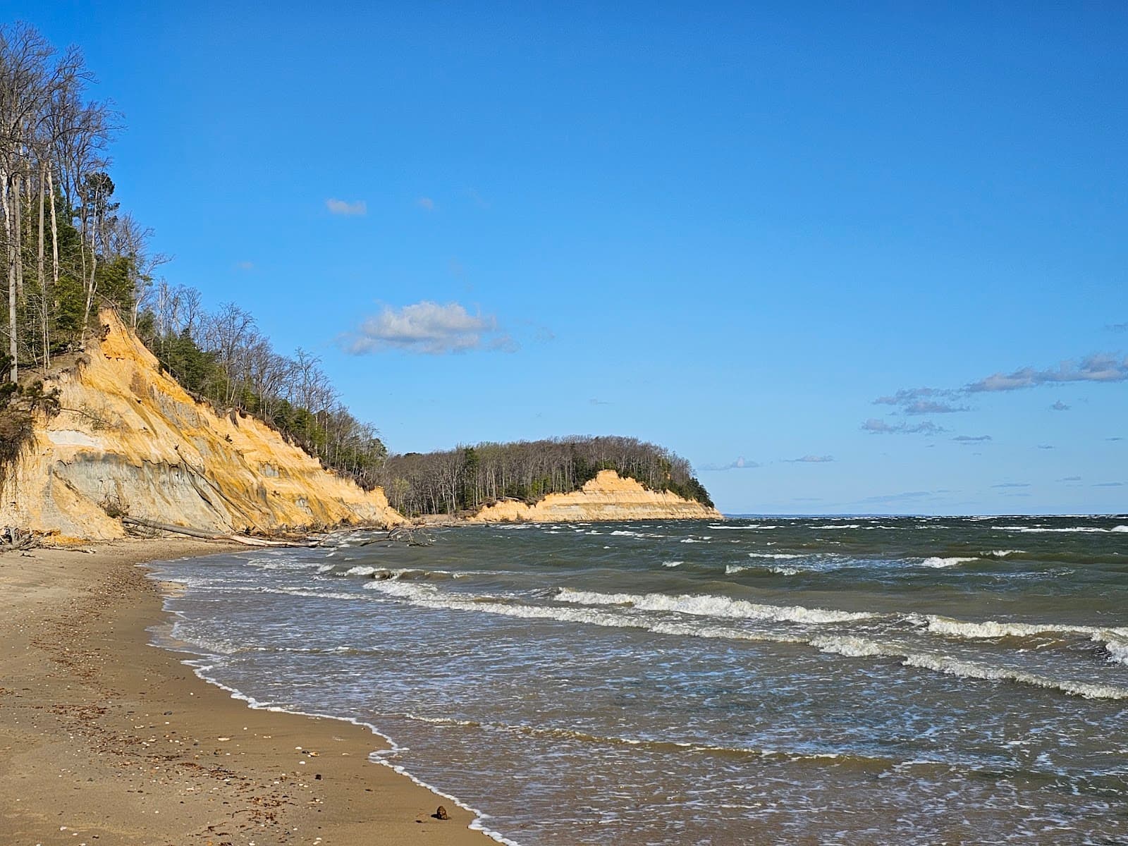 Calvert Cliffs State Park - Image 1