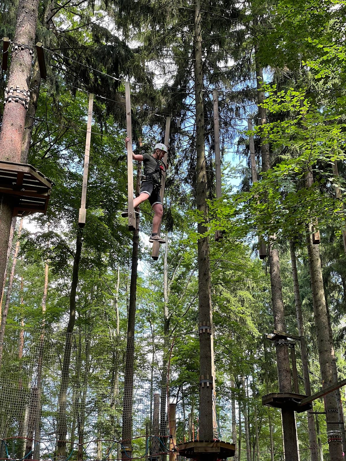 St Linhart Forest Park - Image 1