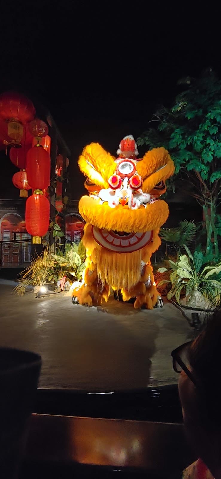 Images of Singapore LIVE Sentosa Island - Image 1