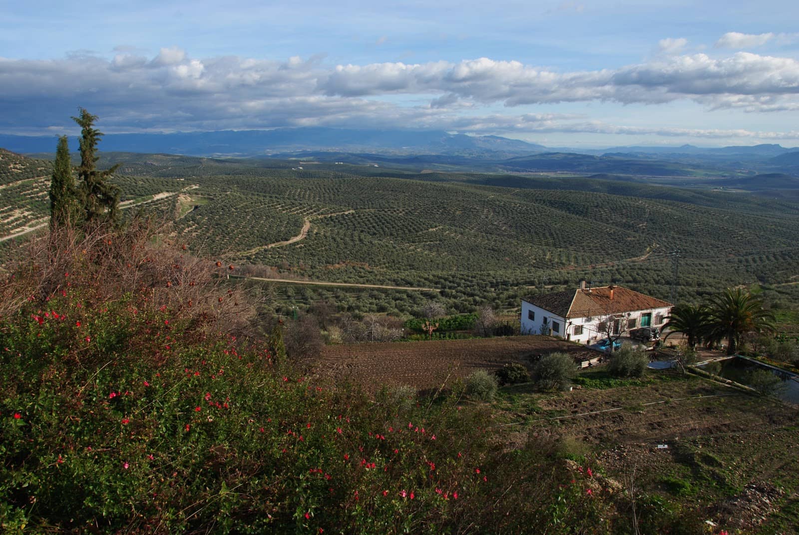Shaded Garden Retreat