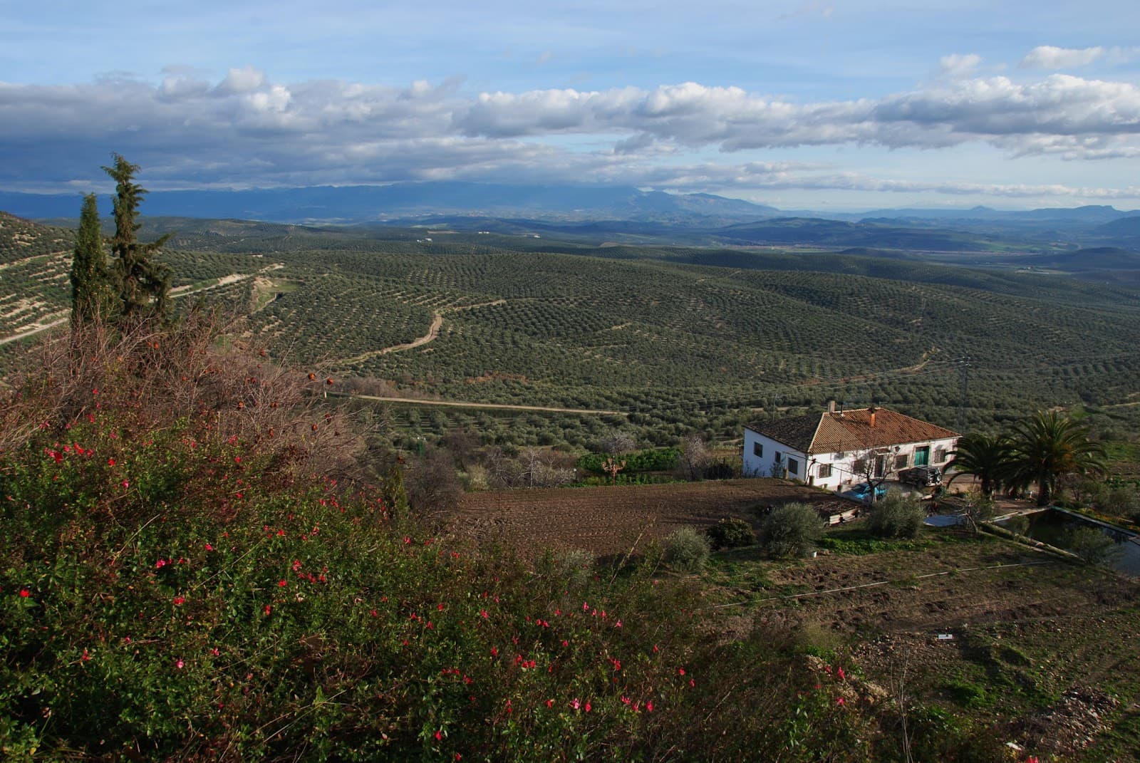 Mirador de San Lorenzo - Image 1