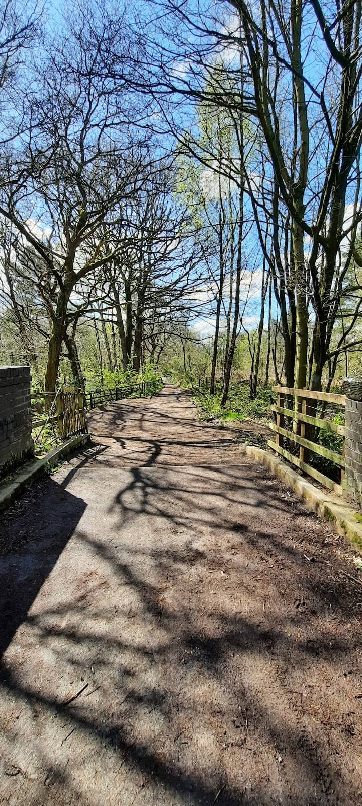 Multi-Use Trail