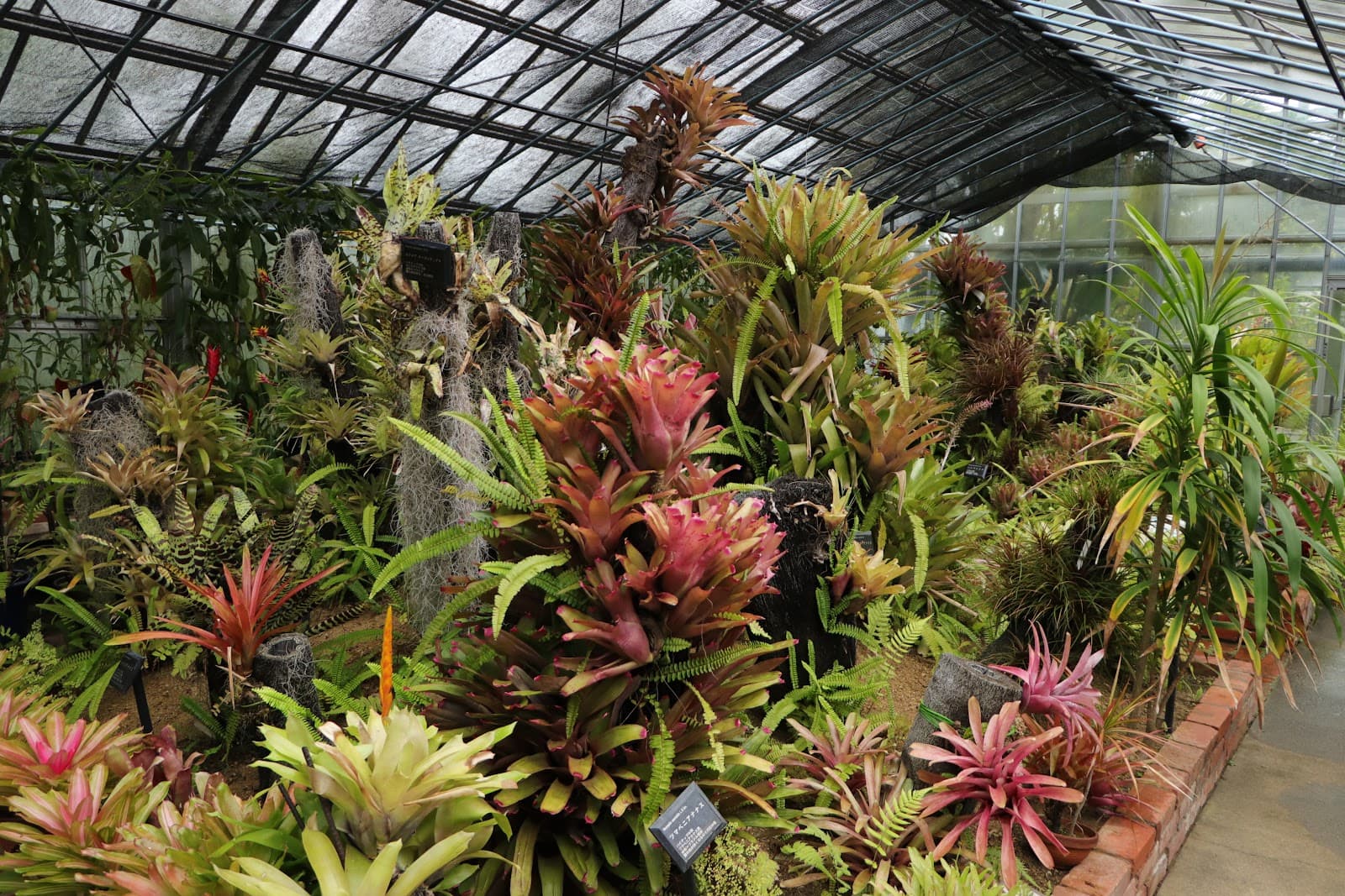 Handayama Botanical Garden - Image 1