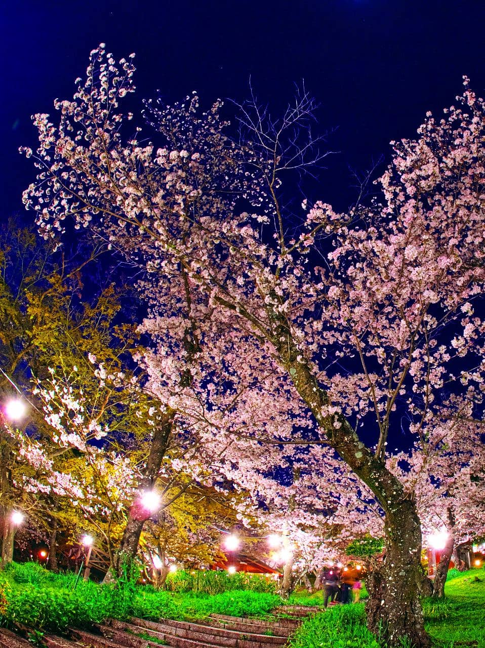 Vertical photo