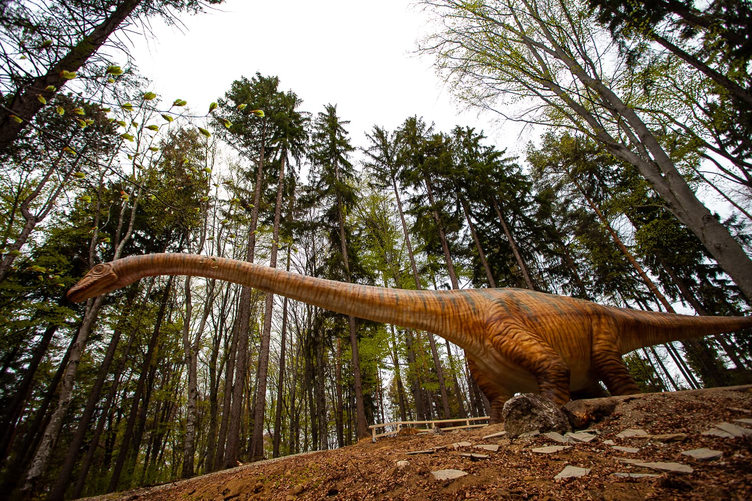 Dino Parc Râșnov - Image 1