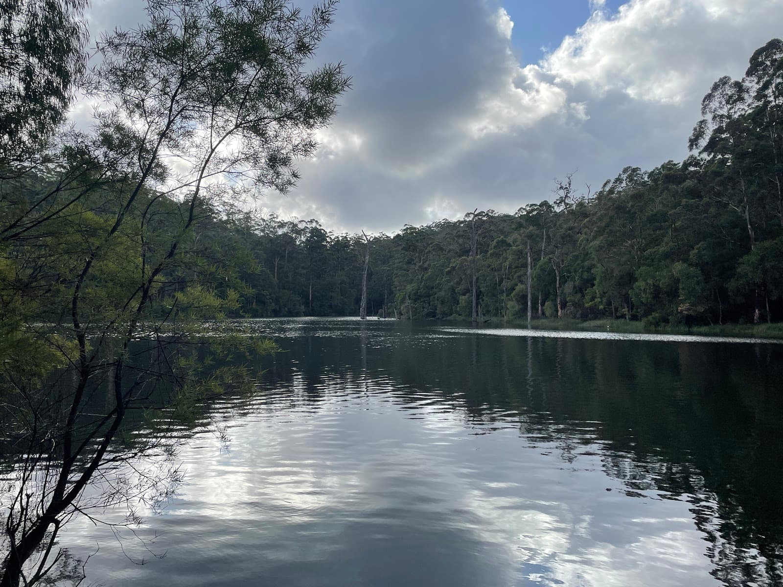Lake Beedelup - Image 1