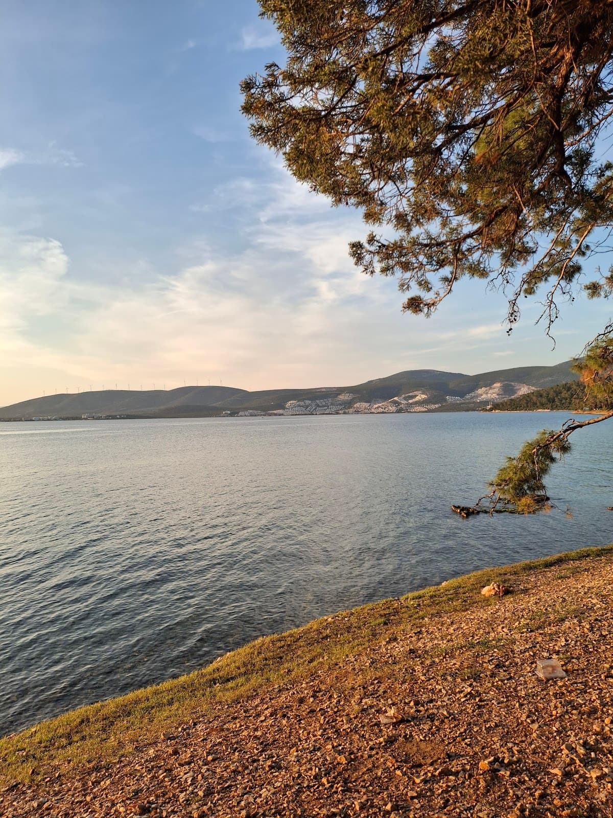 Kazıklı Bay - Image 1