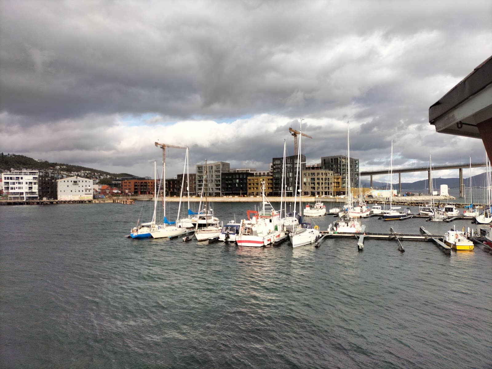 Morning Harbour Serenity