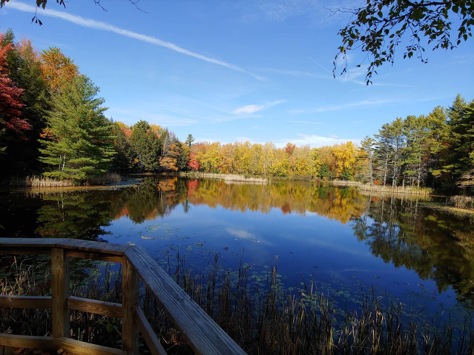 Pond Area Education