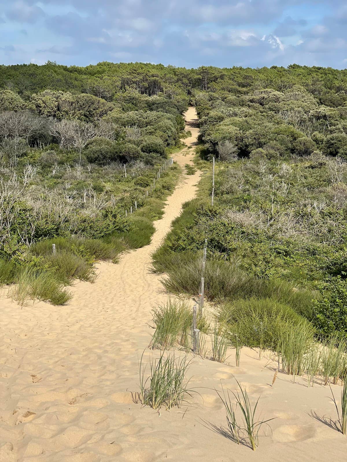 Le Pouliguen's Dramatic Shores