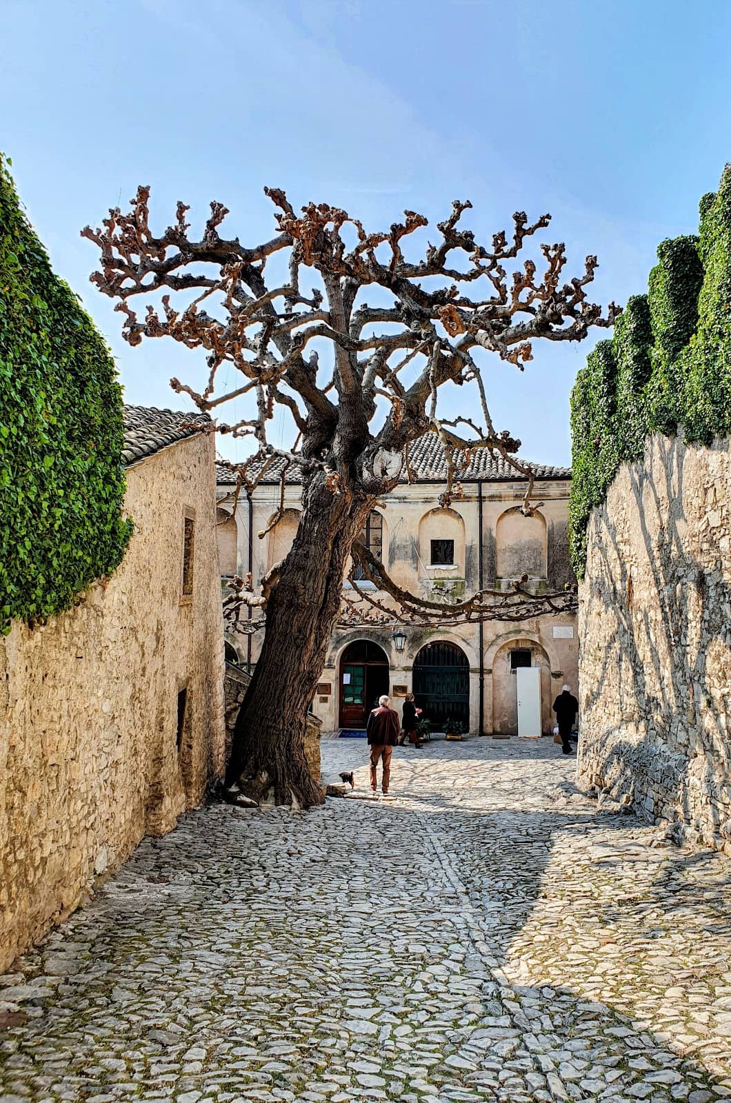 Vertical photo