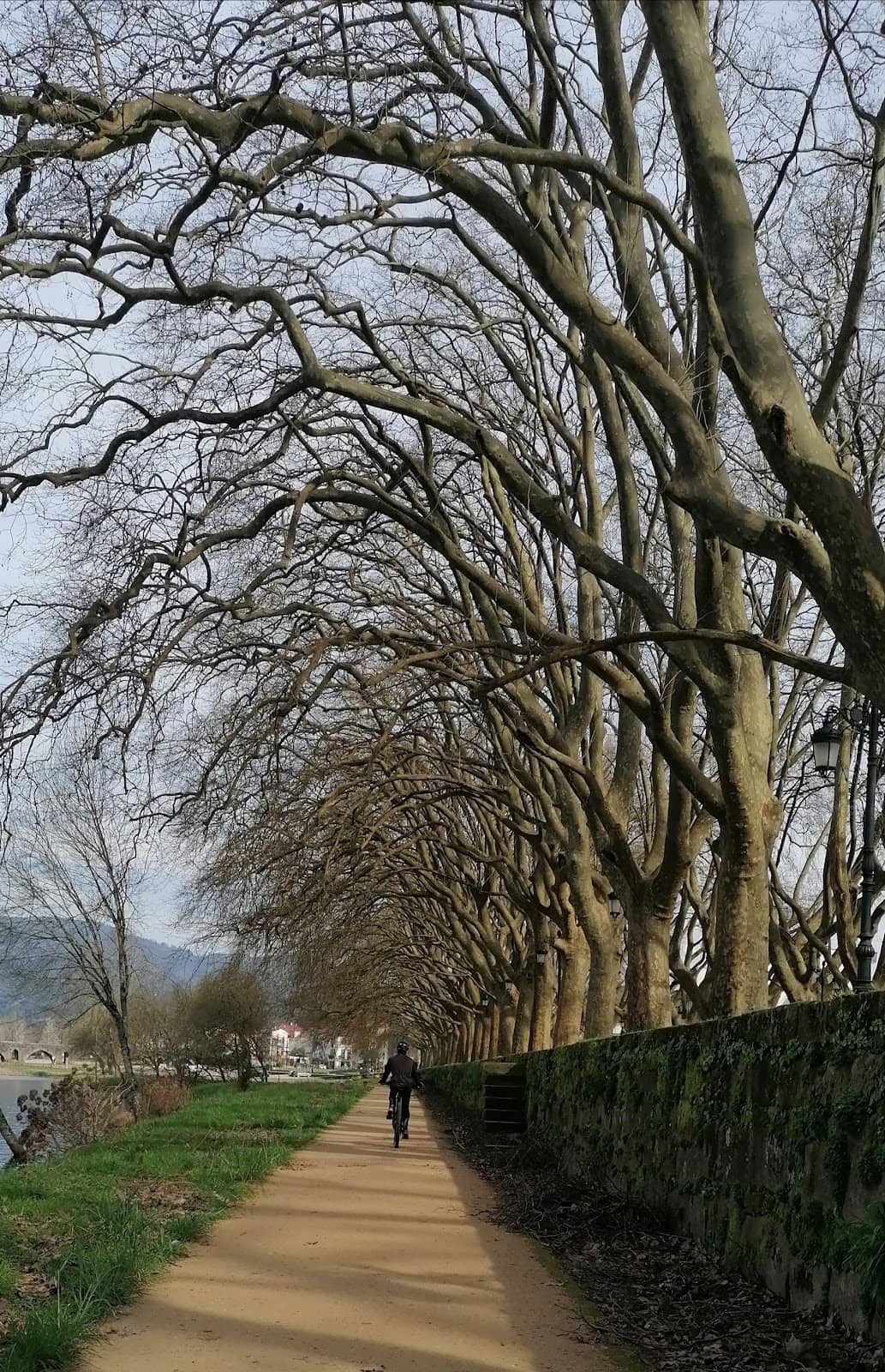 Ponte de Lima Charm