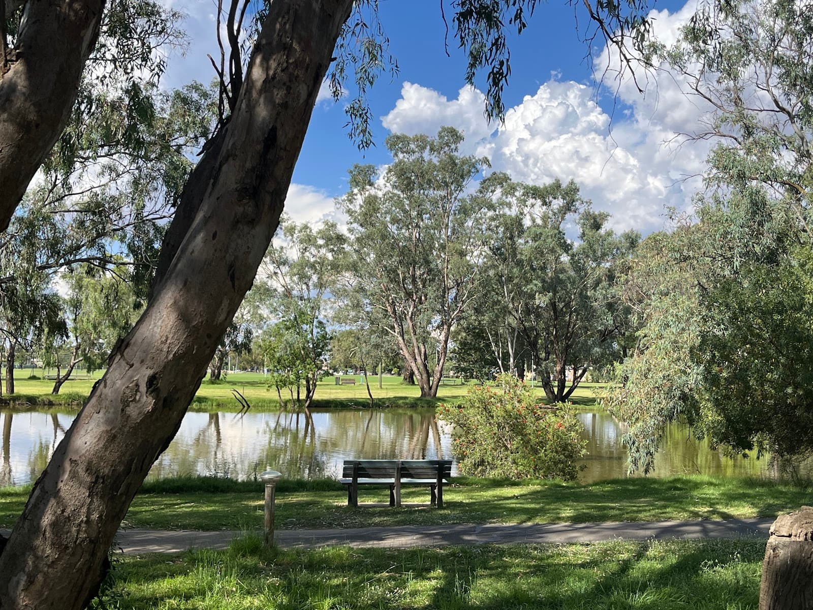 Lake Forbes & Wheogo Park - Image 1