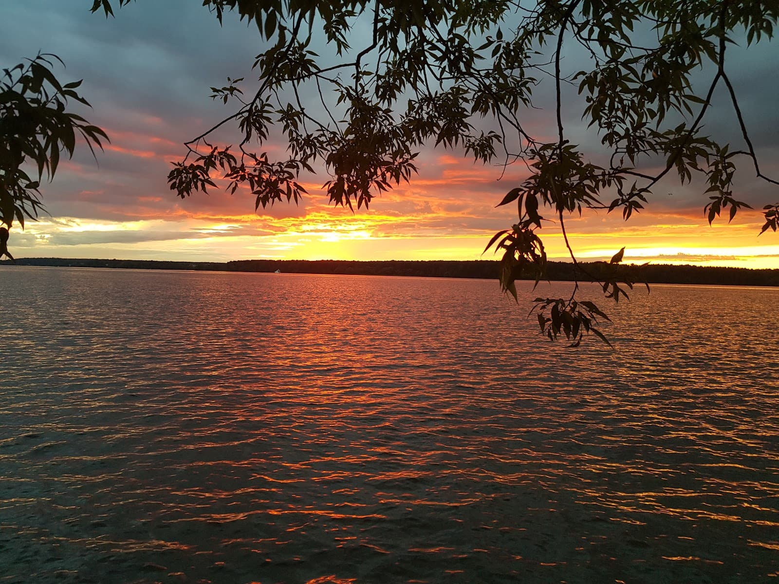 Pirogovskoye Reservoir - Image 1