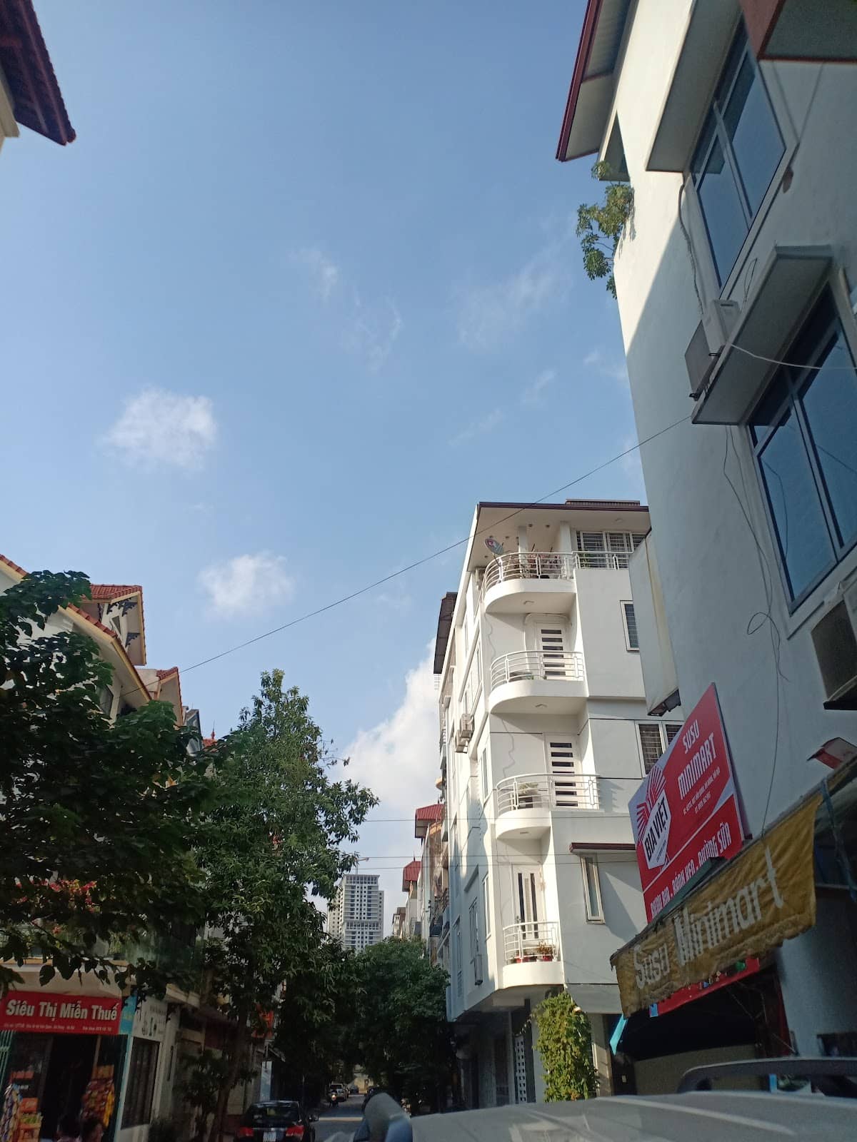 Local Street Food Scene
