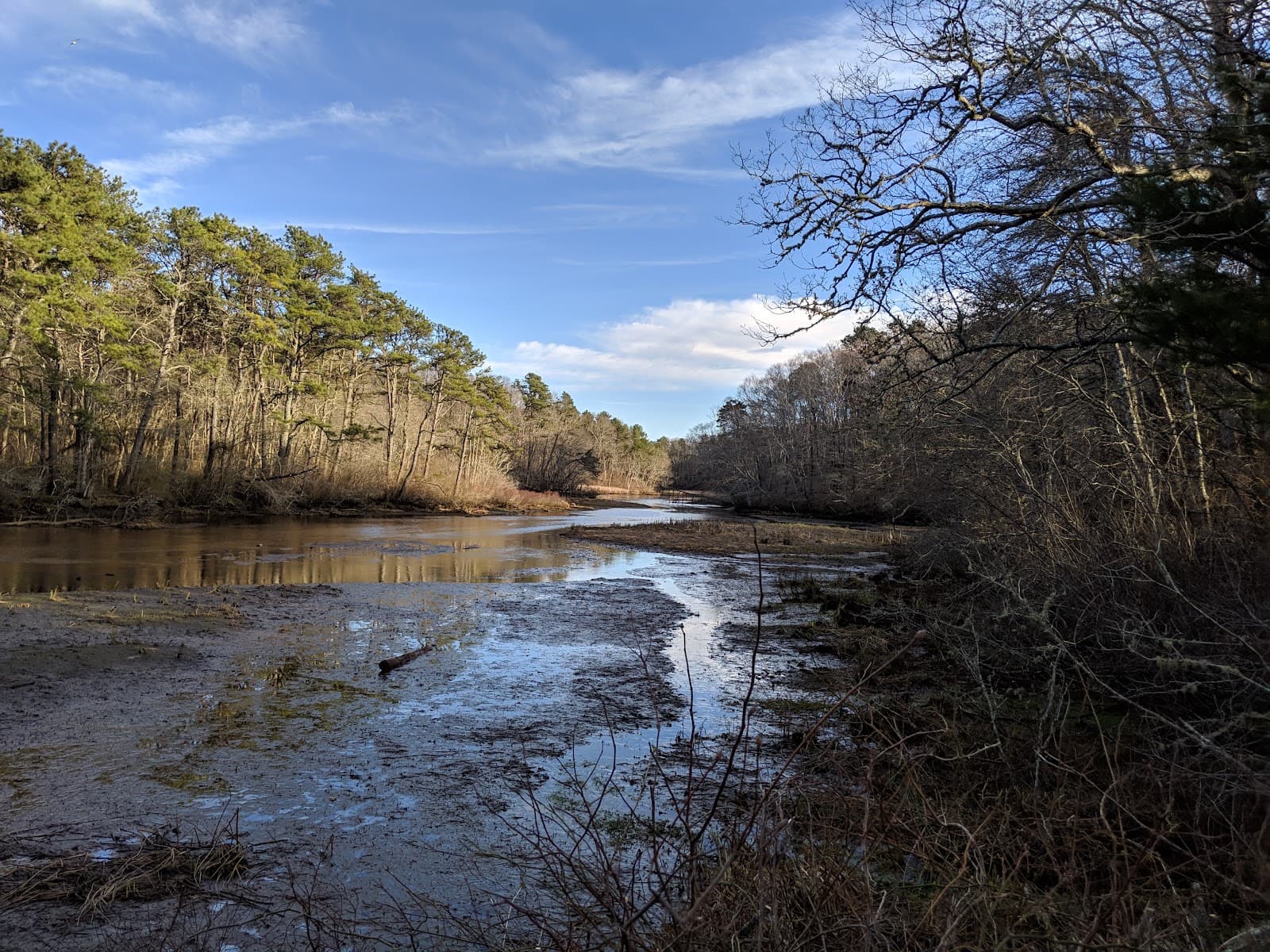 Mashpee River Woodlands - Image 1