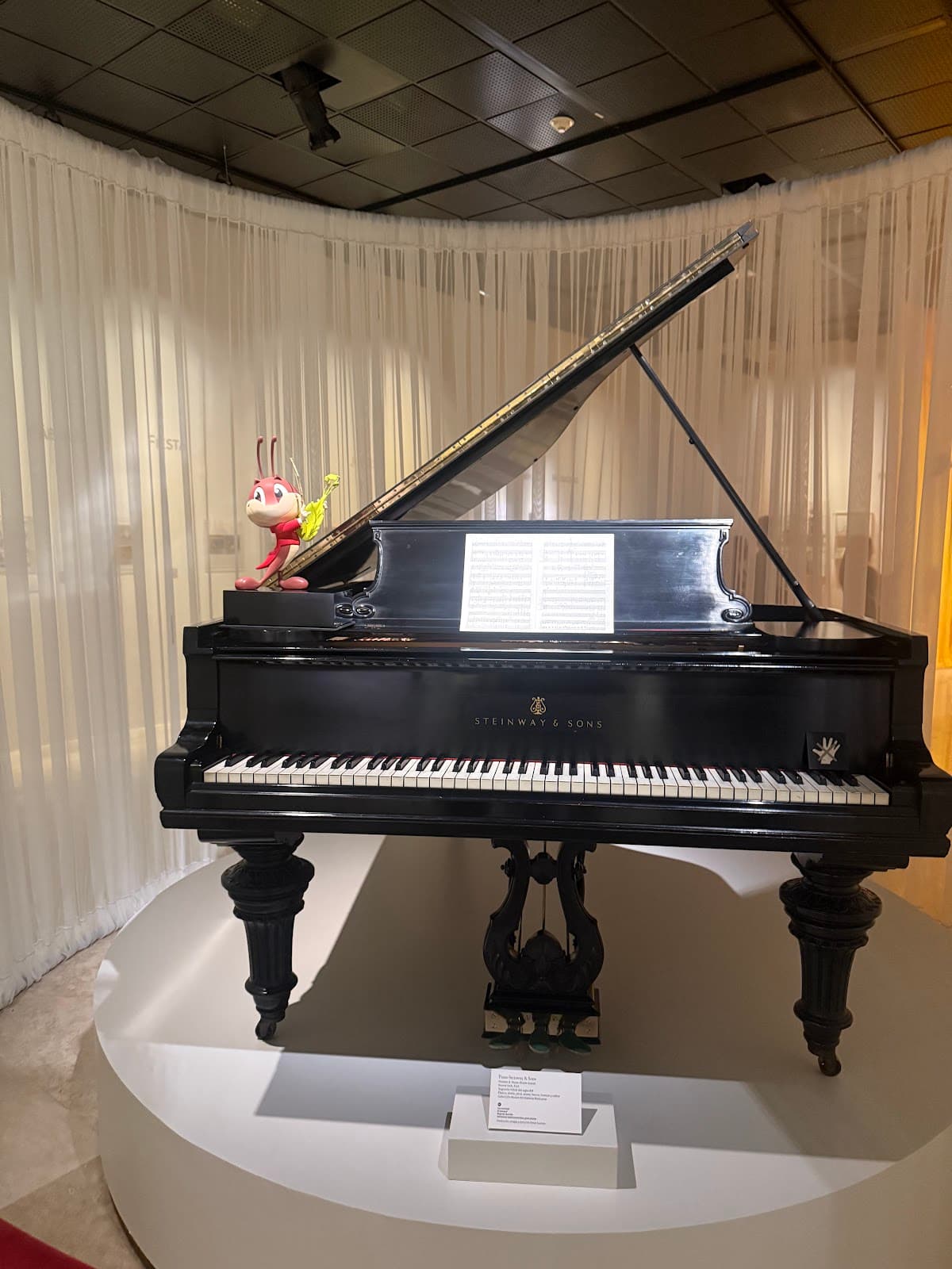 Northeast Museum MUNE - Image 1