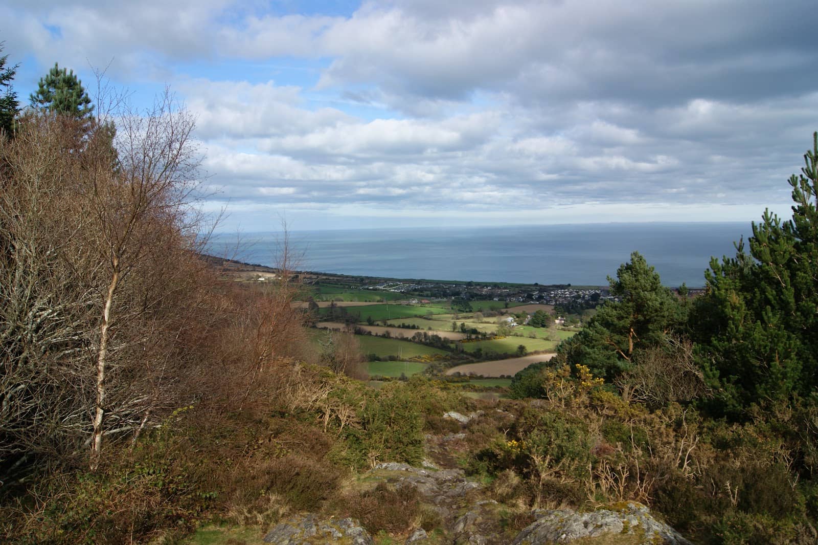 Historic Bellevue Estate Remnants