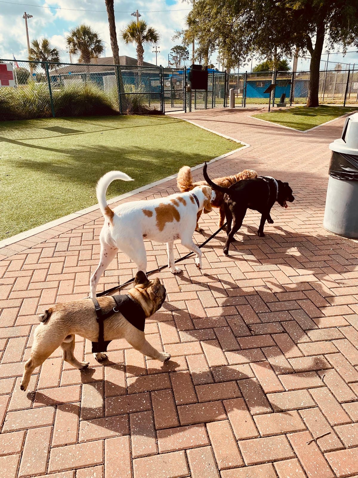 Paws Park (Jacksonville Beach Dog Park) - Image 1