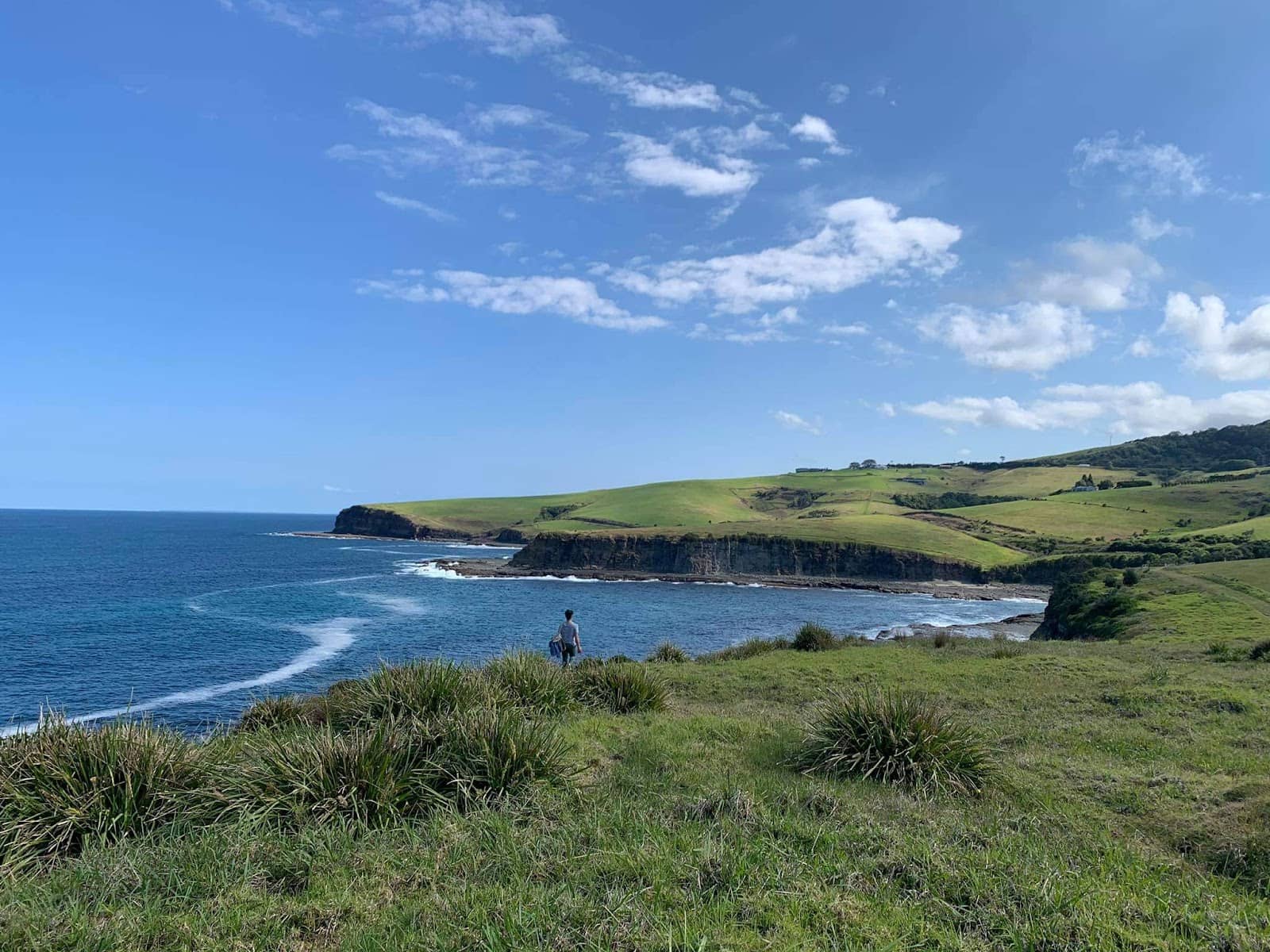 Rolling Green Hills & Coastal Views