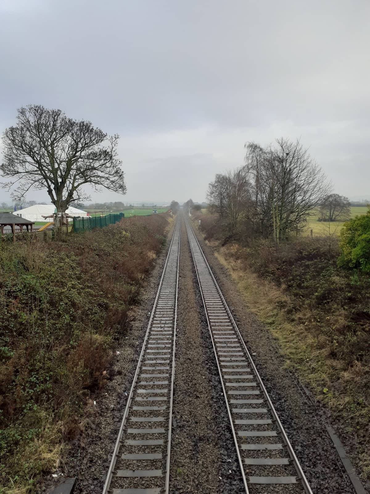 The Full Linear Experience