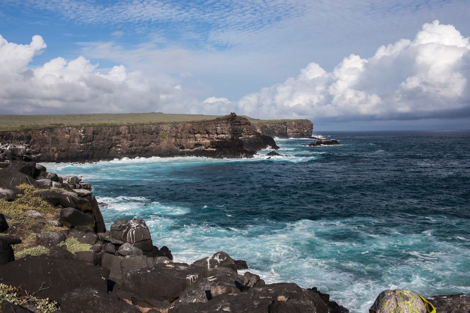Punta Suárez Española - Image 1