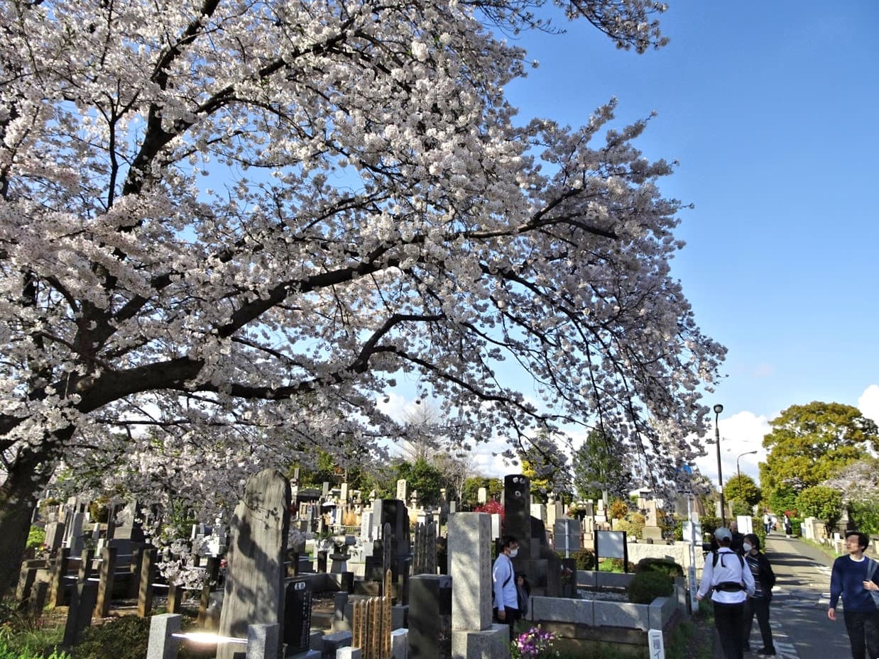 Somei Reien Cemetery - Image 1