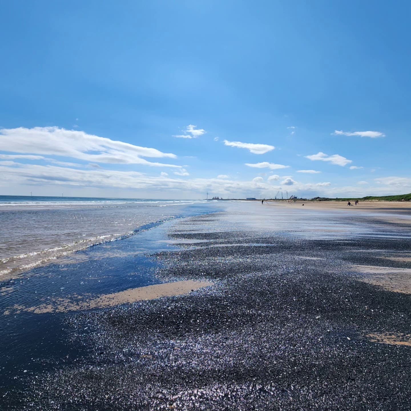 Cambois Beach - Image 1