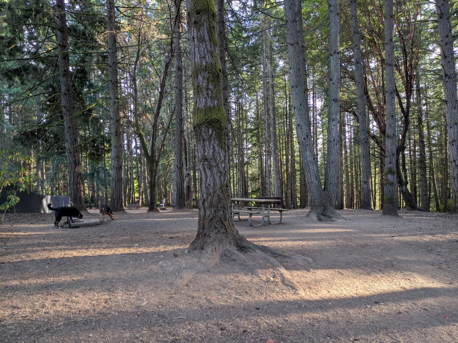 Strawberry Hill Park - Image 1