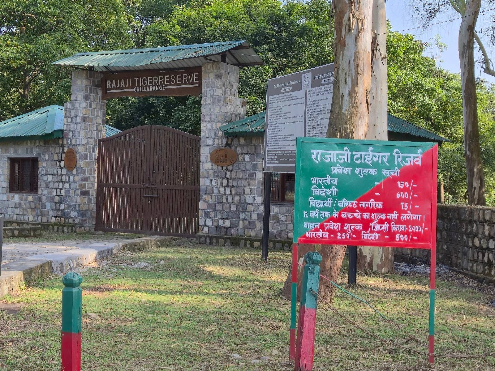 Serene Morning Views