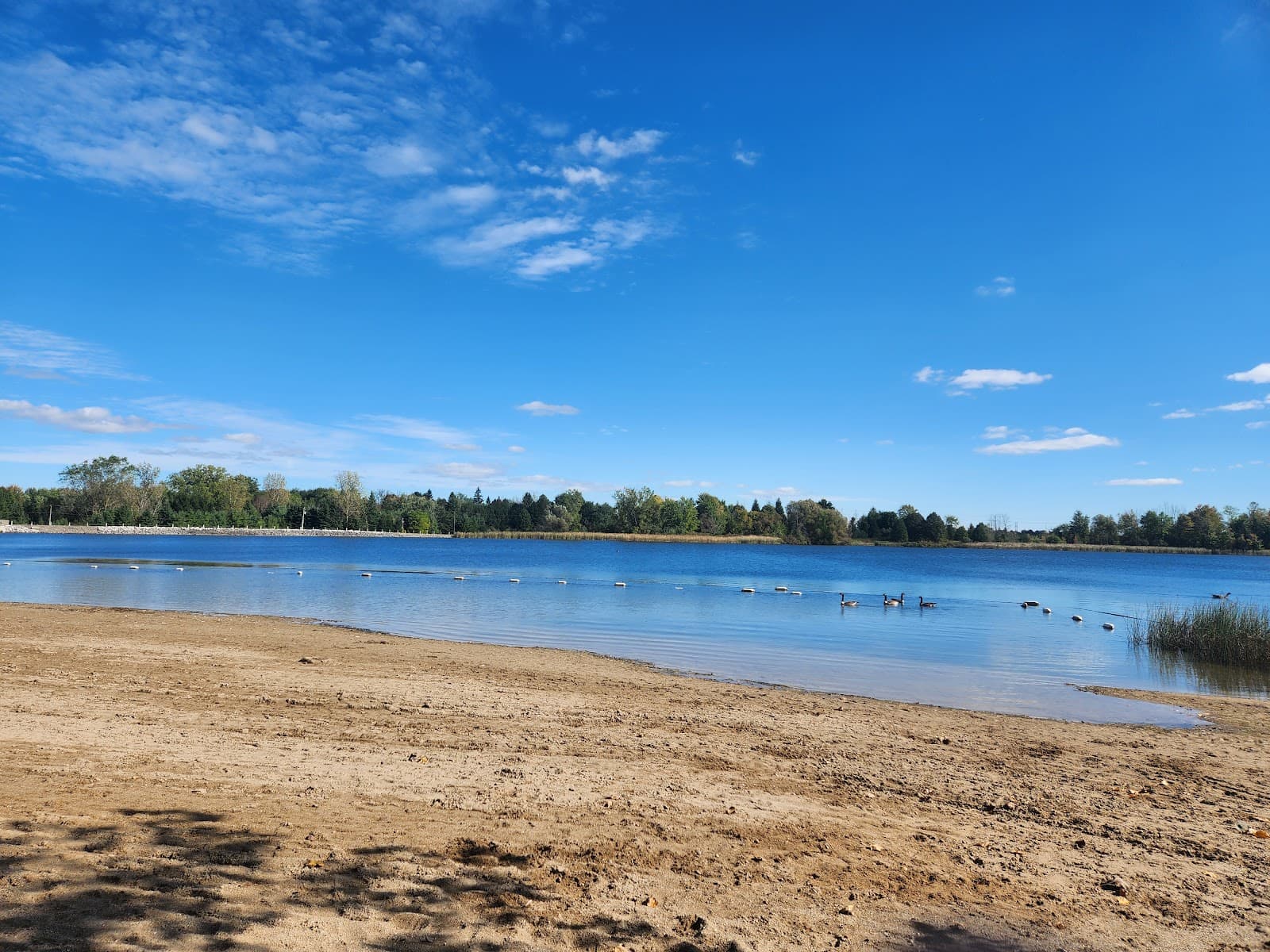 Laurel Creek Conservation Area - Image 1