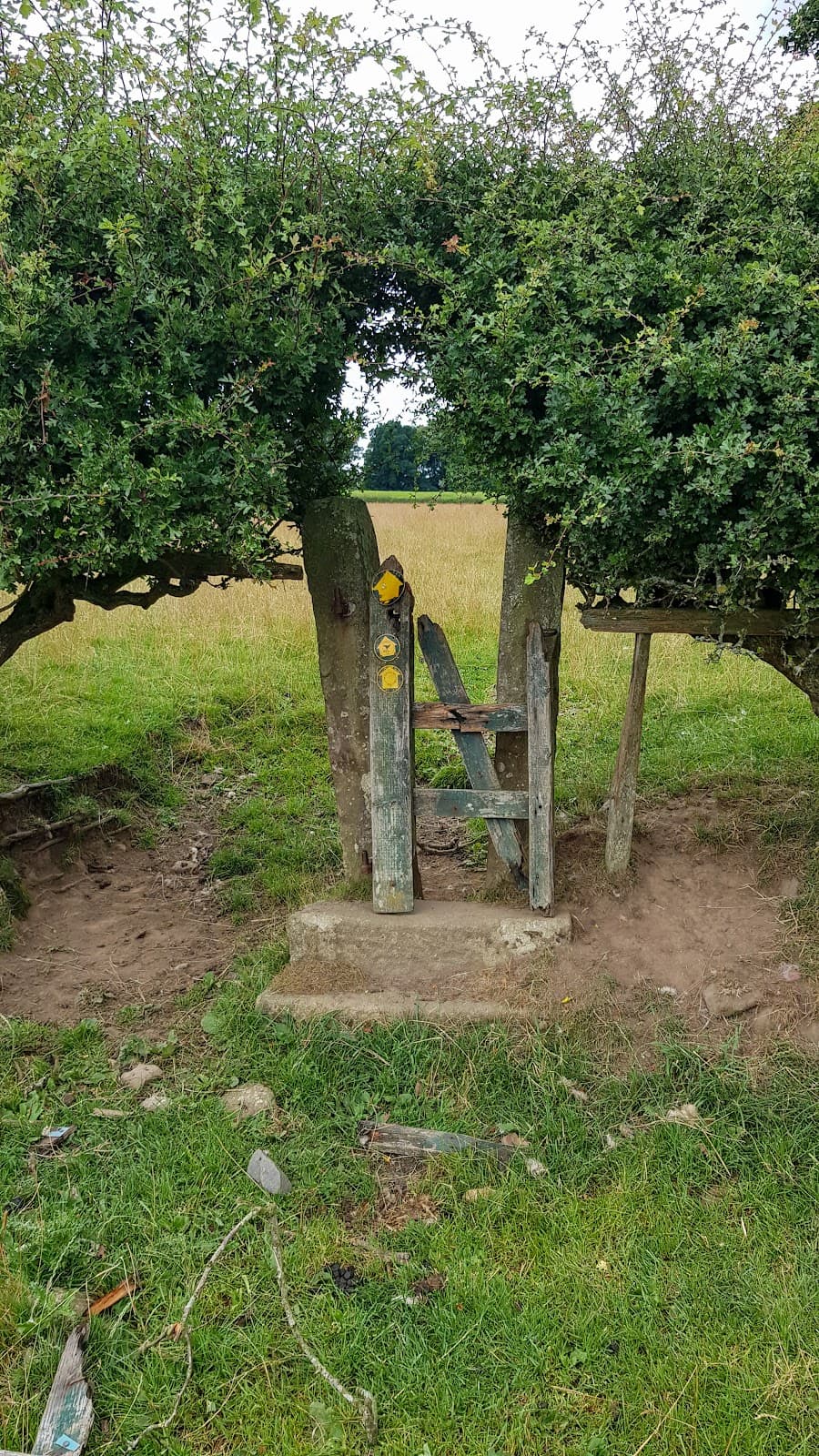 Cotherstone County Durham - Image 1