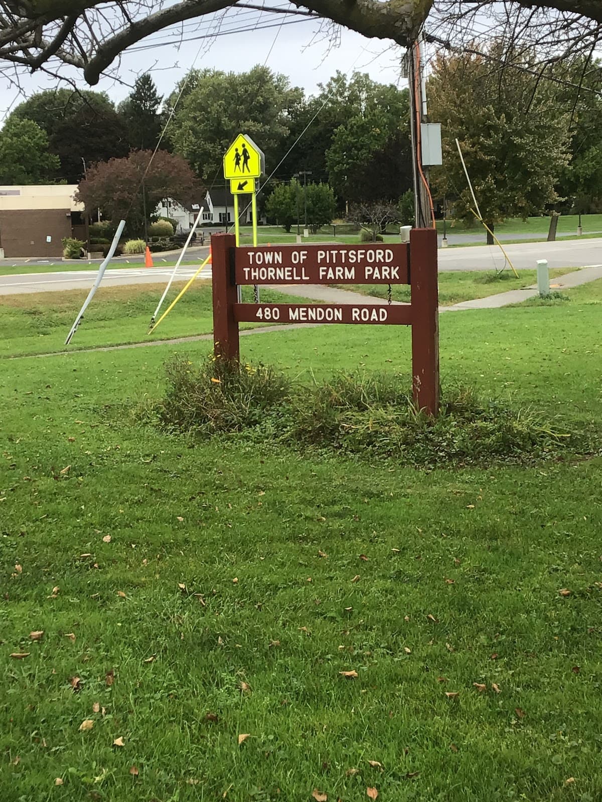 Thornell Farm Park - Image 1