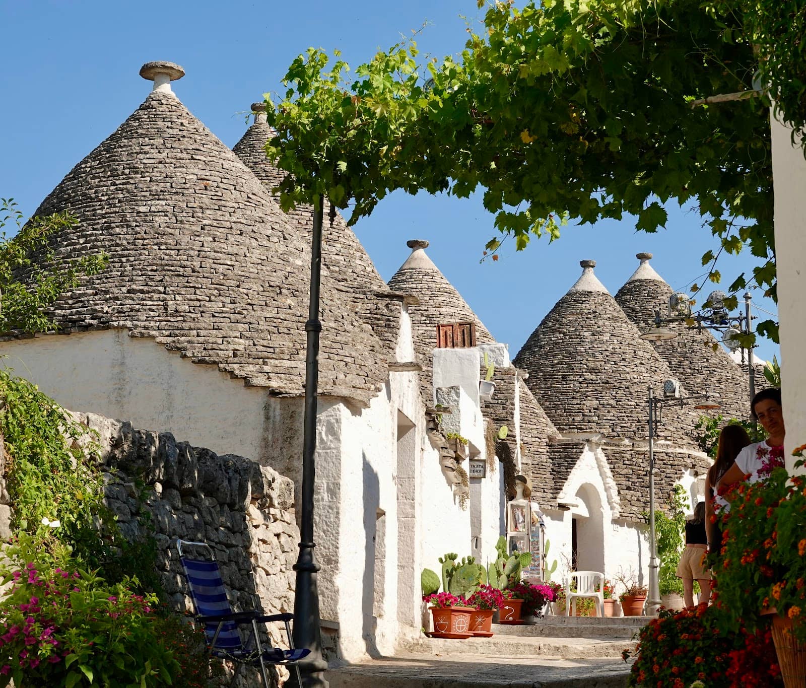 Scenic Photo Opportunities