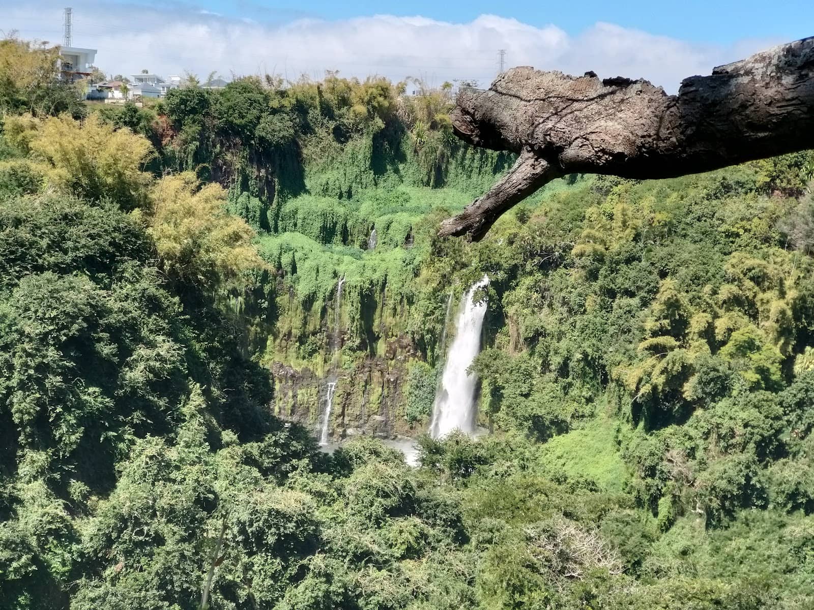 Vertical photo