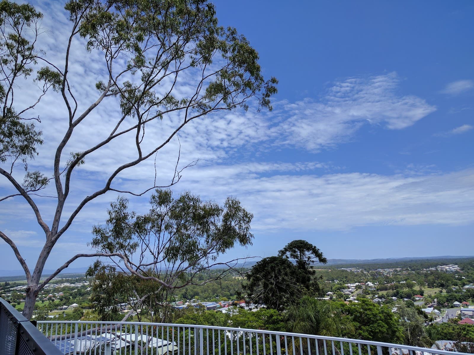 Denmark Hill Conservation Reserve - Image 1