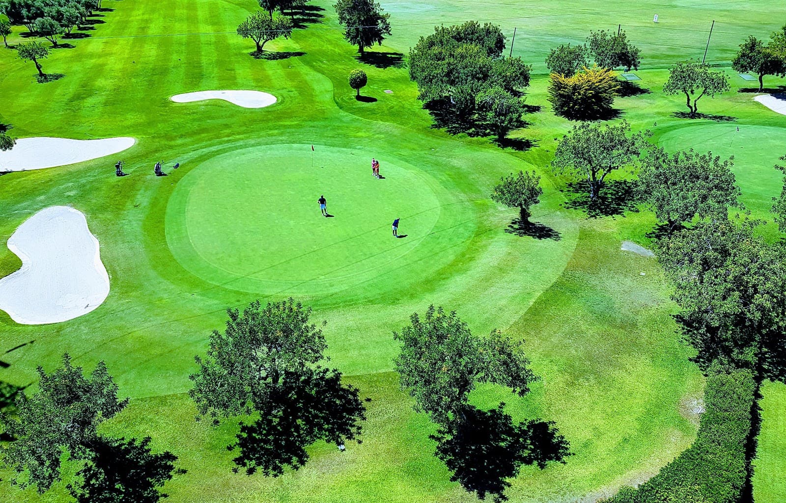 Real Club de Golf Guadalmina - Image 1