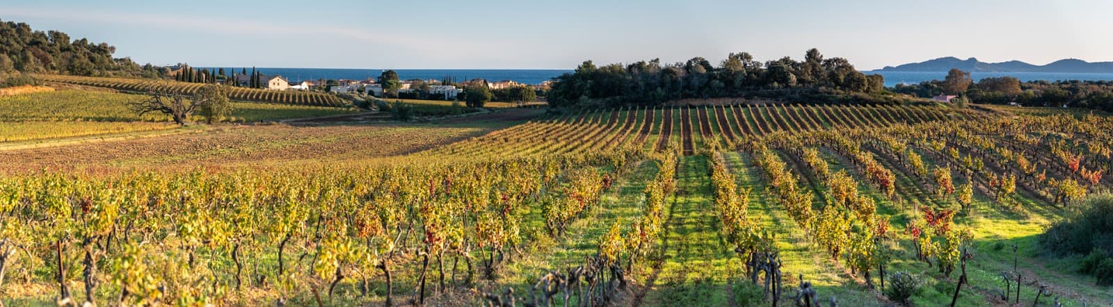 Domaine des Bormettes - Image 1