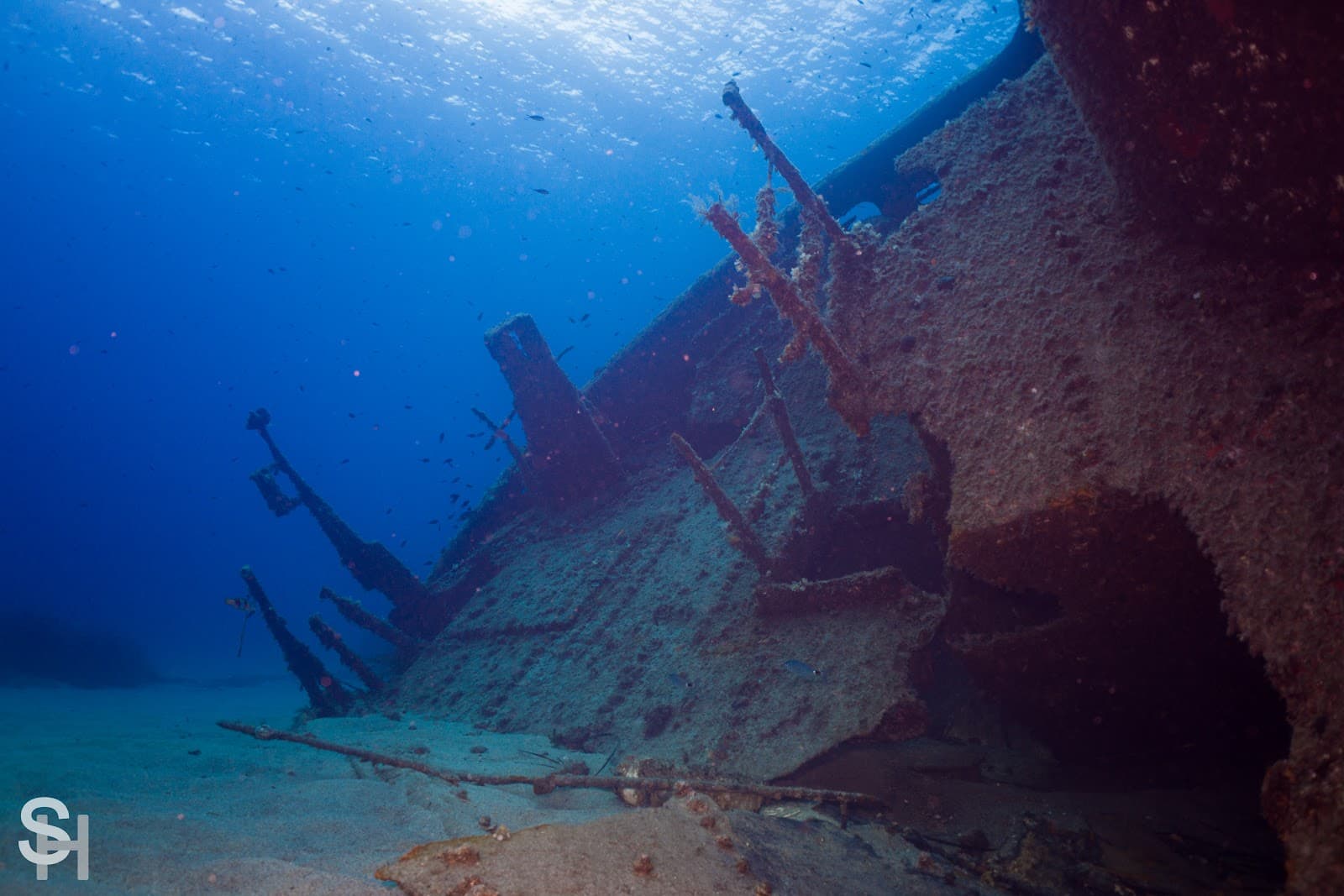 Elviscott Shipwreck Pomonte - Image 1
